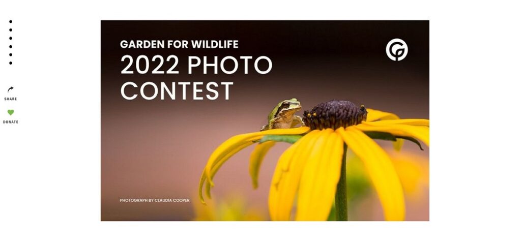 The-National-Wildlife-Nature-Photo-Contests