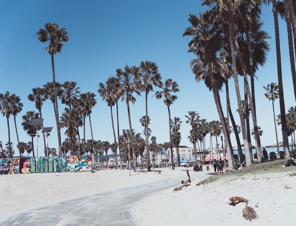 Photo-Spot-Venice-Boardwalk