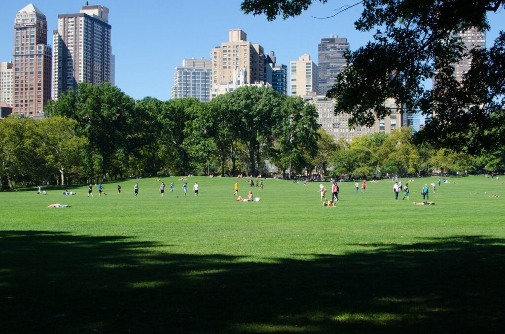 Central-Park-Photo-Spot-Great-Lawn