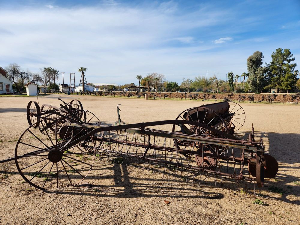 Sahuaro-Ranch-Park-Park-Photo-Spots-Phoenix